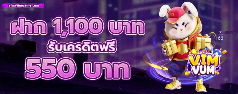 vimvum โปรโมชั่น 2